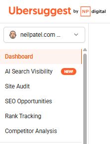 Screenshot from the Ubersuggest Dashboard features